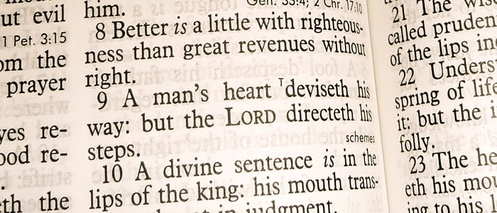 A Witness to a Divine Appointment